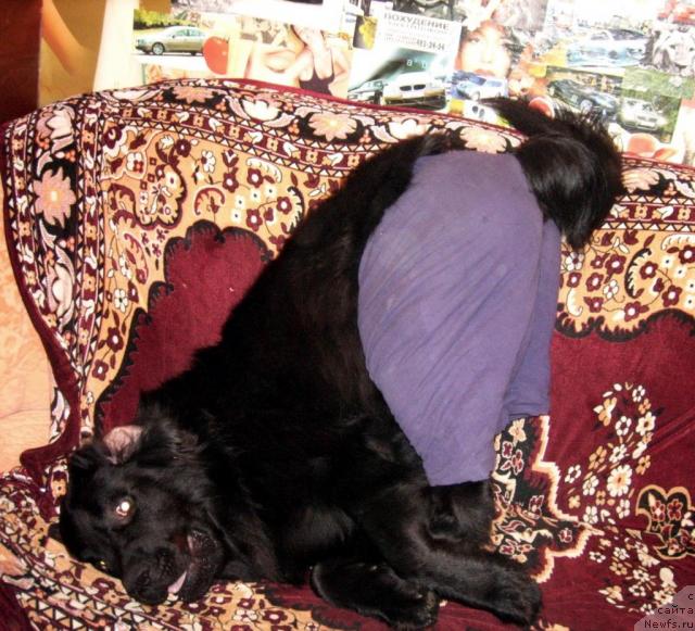 Фотография № 25044