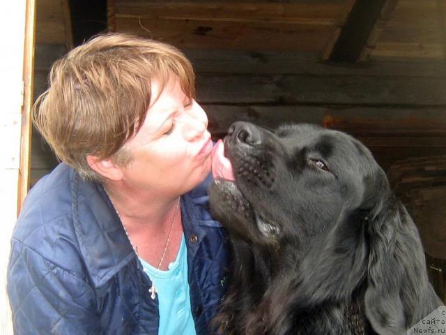 Фото: Галина Корнилова, ньюфаундленд Тьен Бо