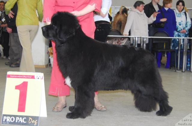 Фотография № 25068