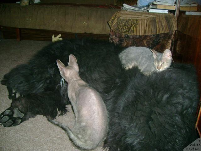 Фотография № 25077