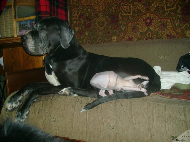 Фотография № 25078