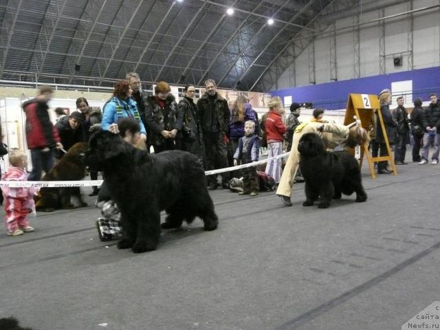 Фотография № 25090