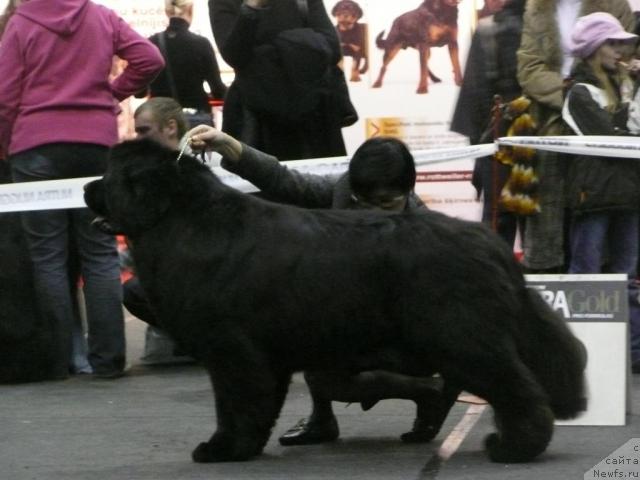 Фотография № 25091