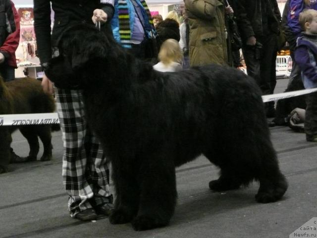 Фотография № 25093