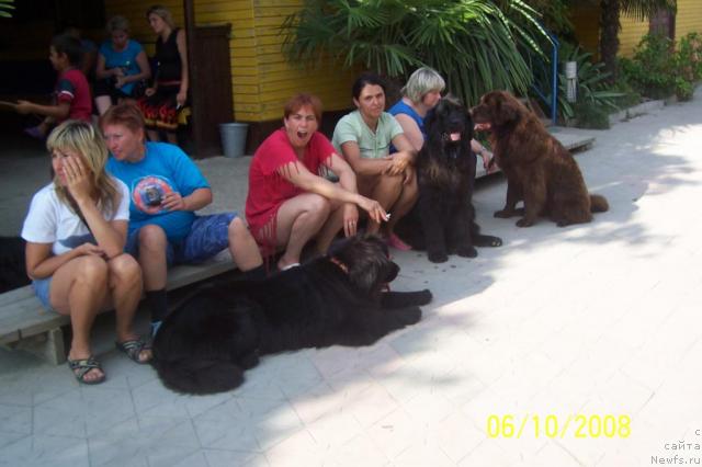 Фотография № 25104