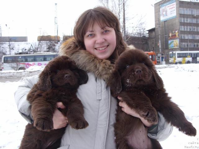 Фотография № 25118