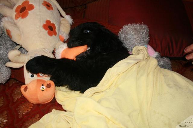 Фото: [p1290]Лав Стори из Тихого омута