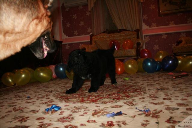 Фото: Лав Стори из Тихого омута