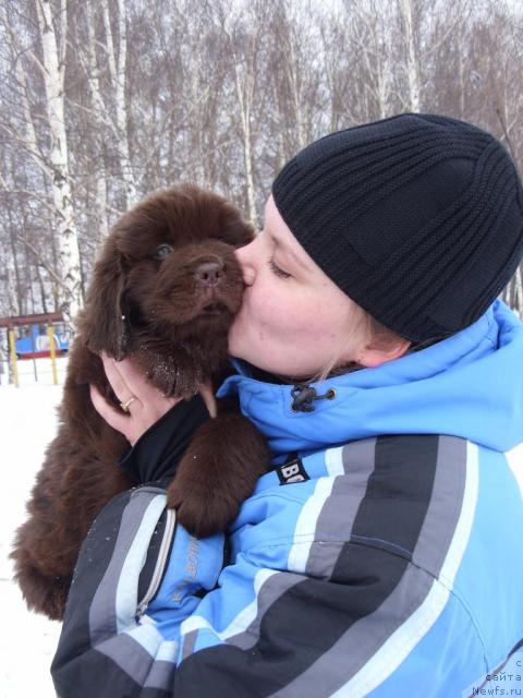 Фотография № 25122