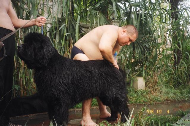 Фотография № 25125