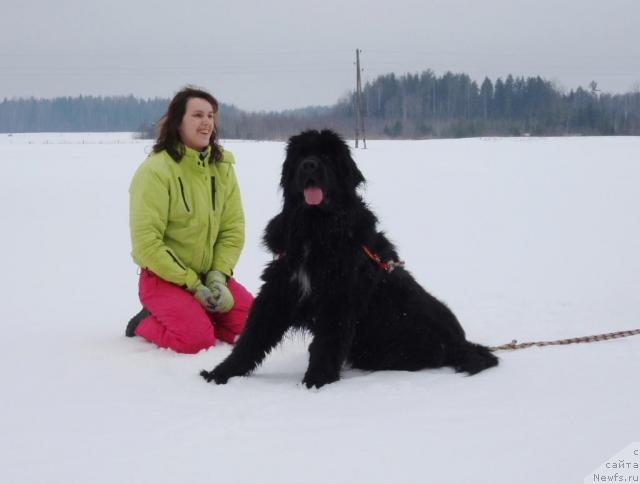 Фотография № 25152