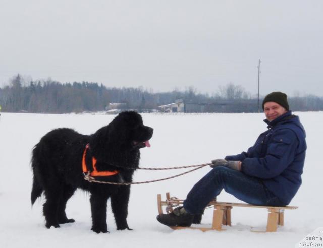 Фотография № 25153