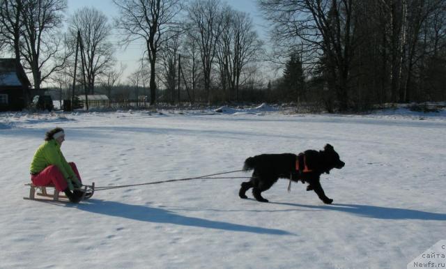 Фотография № 25154