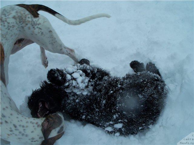 Фото: Сент Джонс Рокко Стелла ди Сант Эрамо