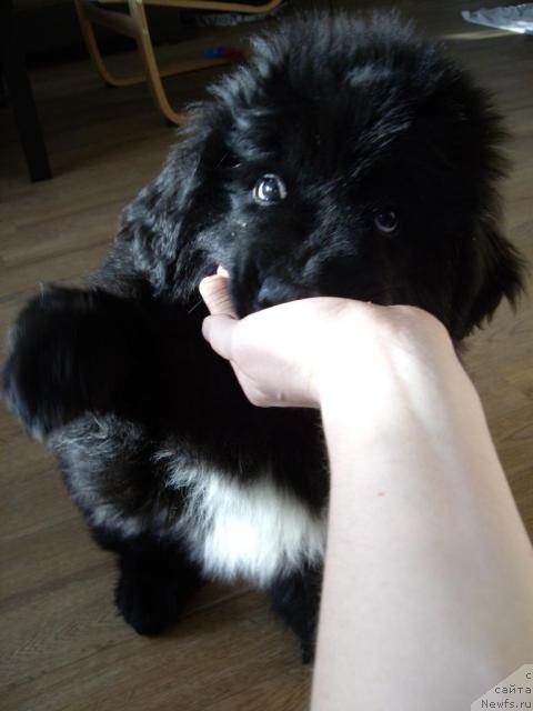 Фото: Дмитрий Ерофеев