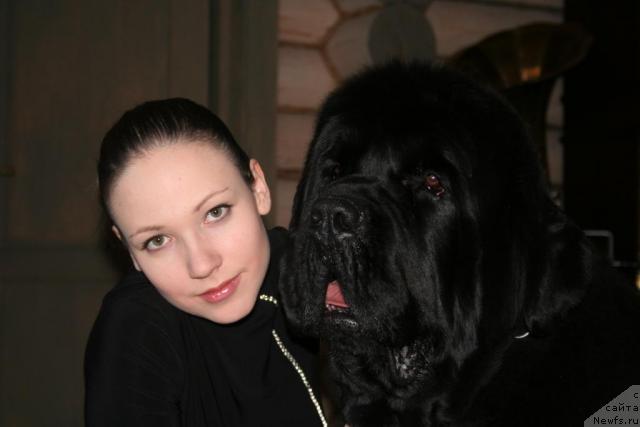 Фото: ньюфаундленд King of Helluland Valmont, Екатерина Сморыго