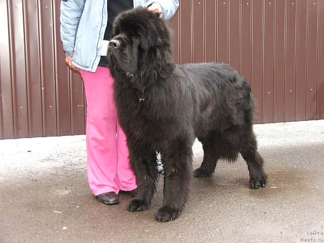 Фотография № 25232