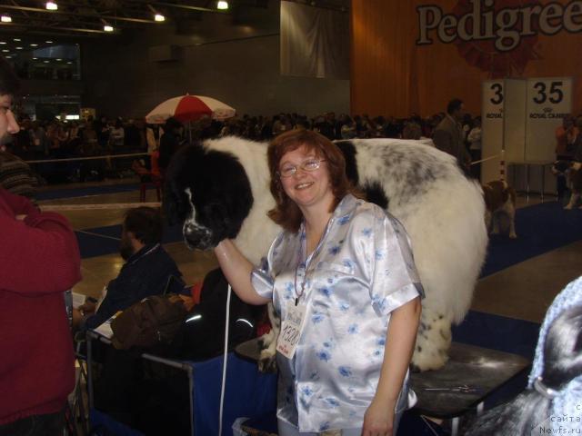 Фото: ньюфаундленд Kloofbears Lancelot for Sent Djons, Юлия Ястребова