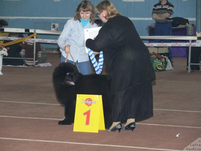 Фотография № 25248