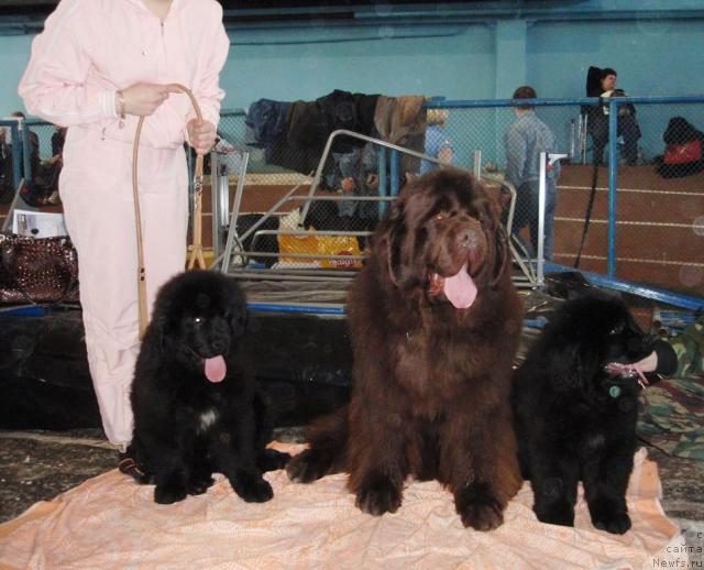 Фотография № 25249