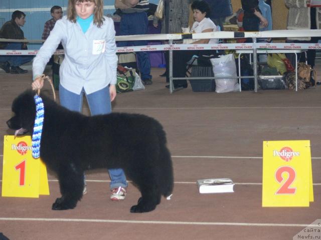 Фотография № 25250