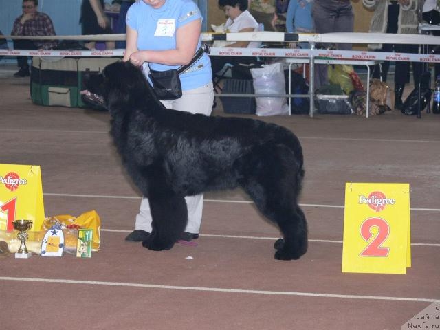 Фотография № 25253