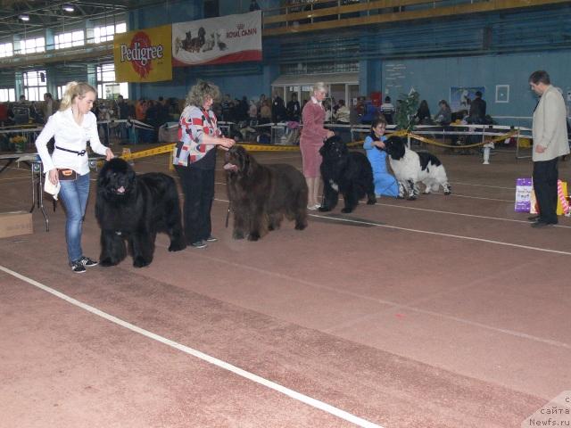 Фотография № 25258