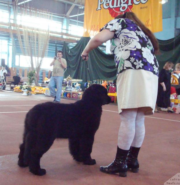 Фотография № 25261