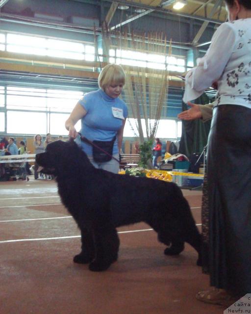 Фотография № 25263