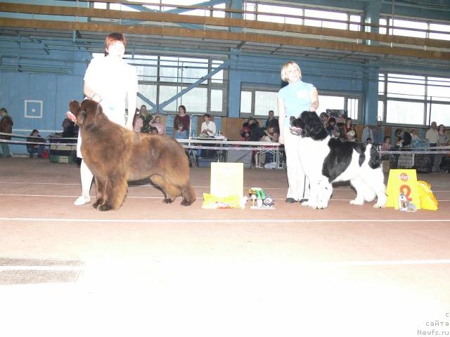 Фотография № 25271