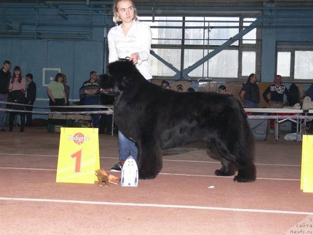 Фотография № 25275