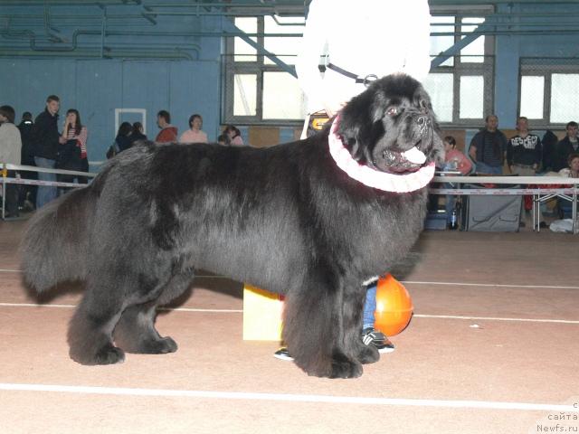 Фотография № 25276