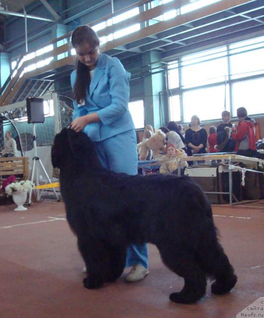 Фотография № 25277