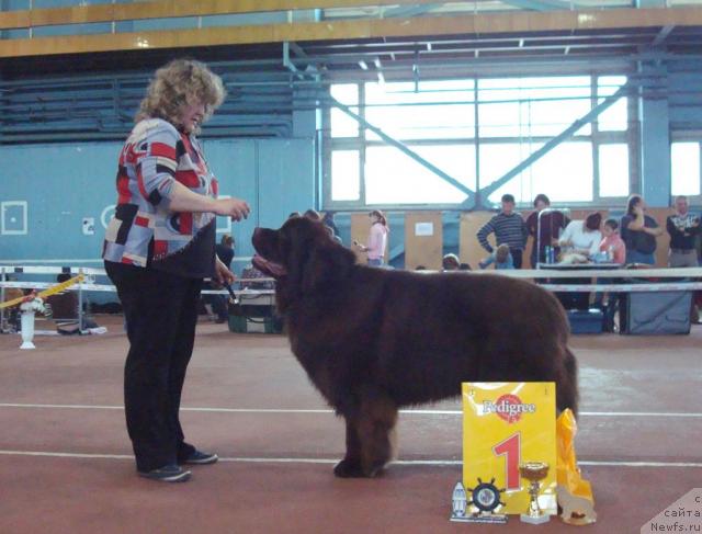 Фотография № 25279