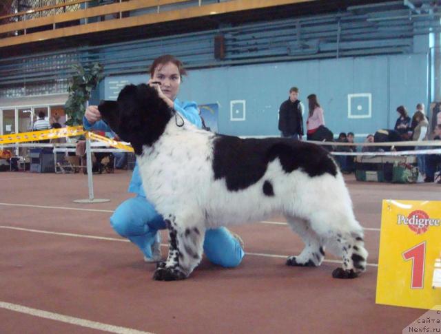 Фотография № 25281