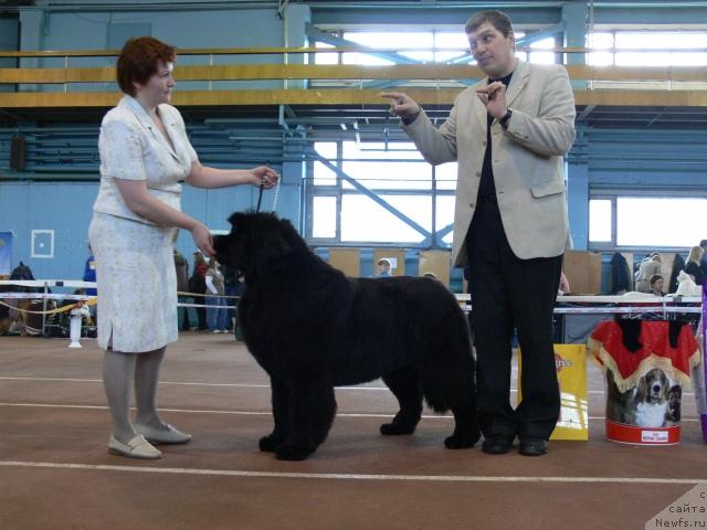 Фотография № 25282