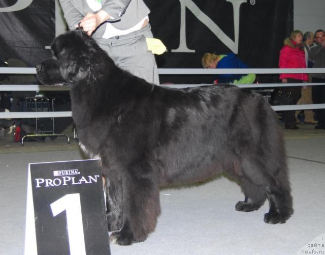 Фотография № 25284