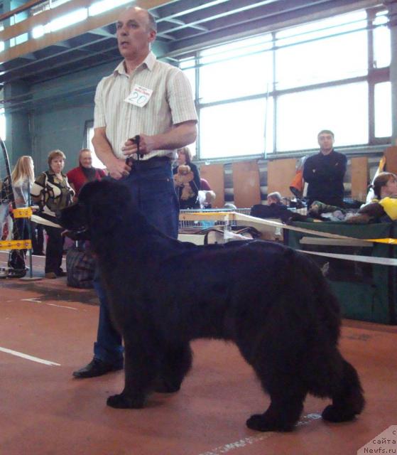 Фотография № 25285