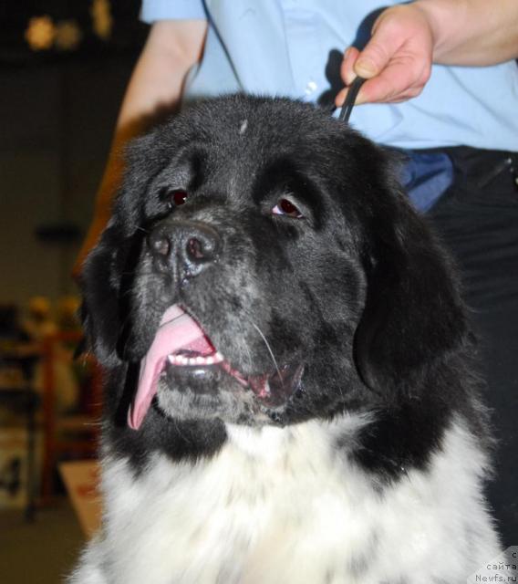 Фотография № 25286