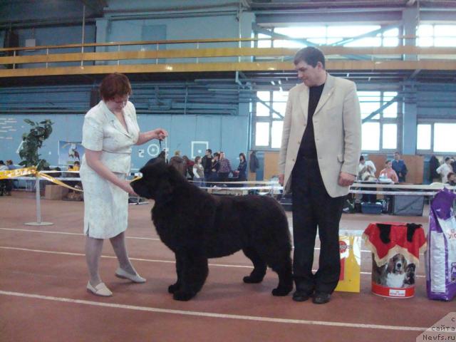 Фотография № 25291