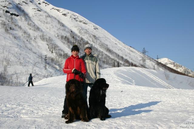 Фото: ньюфаундленд Кайден Плейфул (Kaiden Playful), ньюфаундленд Зорран Снежный Подарок