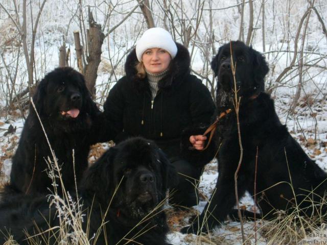 Фото: CHAROVNITSA SIBIRI Ot Marleon Dusvik 
рожд. 27.04.2005
 TSAREVICH IMPERII N`YUF Ot Marleon Dusvik 
рожд. 18.10.2003
