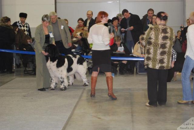 Фотография № 25482