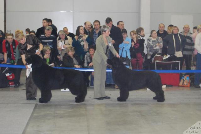 Фотография № 25483