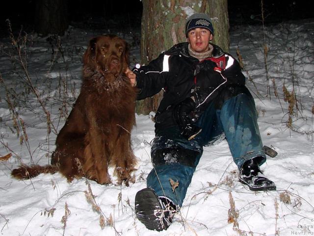Фото: ньюфаундленд Лесная Сказка Изольда, Игорь Момот