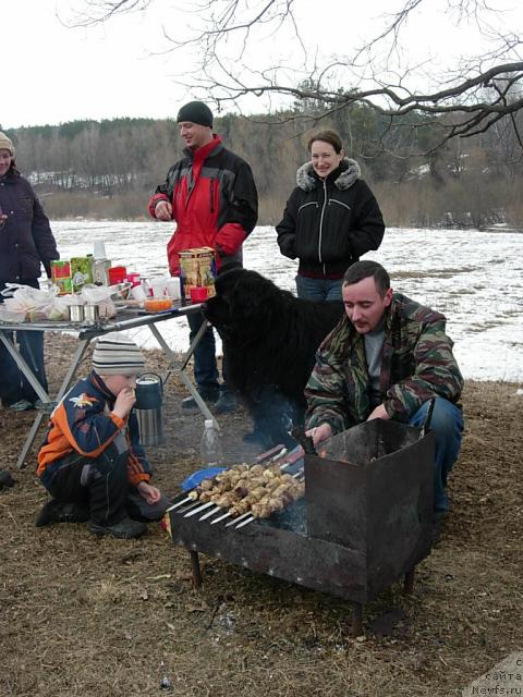 Фото: Дмитрий Самарцев, Надежда Момот, Антон, ньюфаундленд Юган с Тоянова Городка (Ygan s Toyanova Gorodka), Игорь Момот