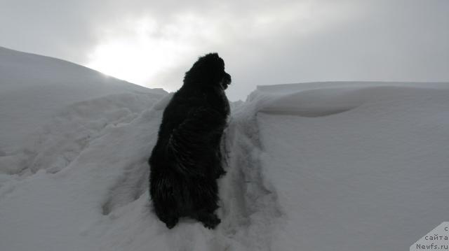 Фотография № 25560