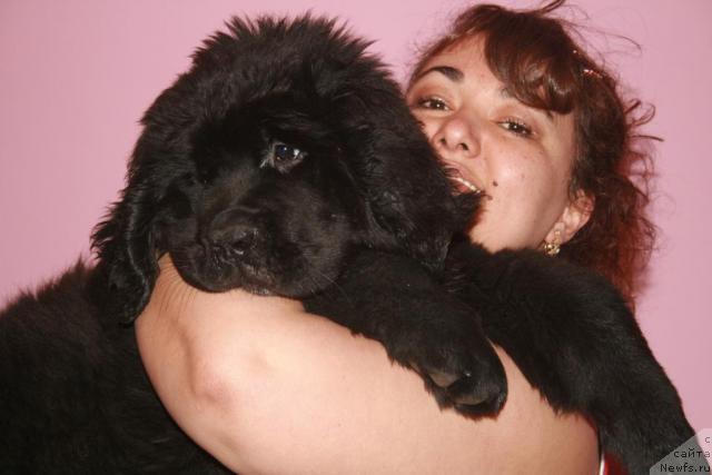 Фото: [p1290]Лав Стори из Тихого омута