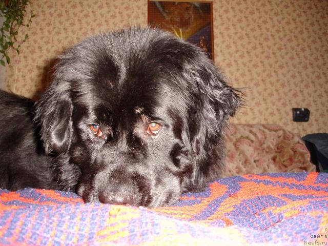 Фотография № 2557