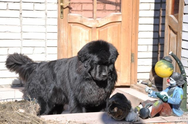 Фотография № 25584